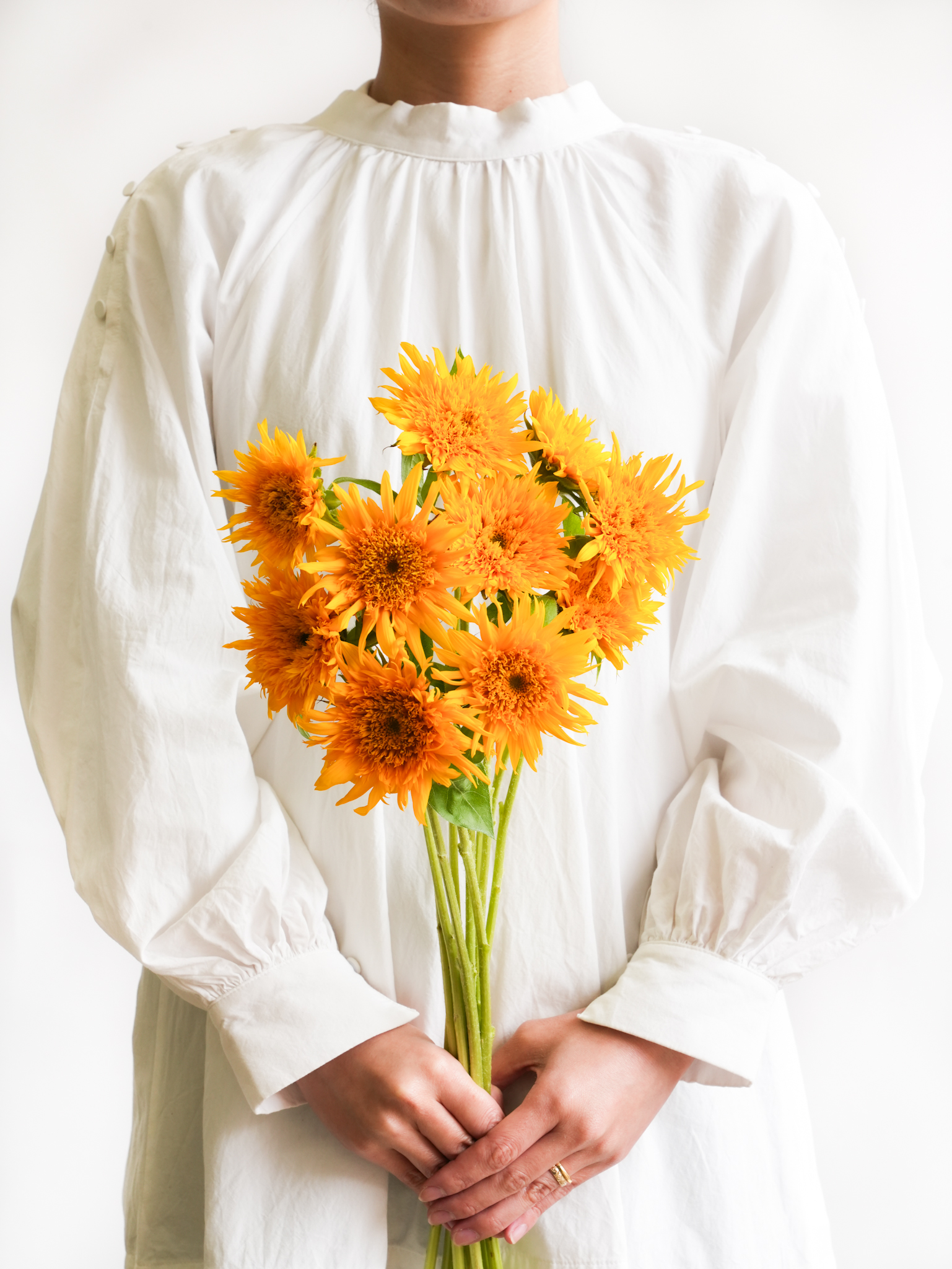 ひまわり（オレンジ）マヤダブル｜花の仕入れを簡単に。花材の卸通販