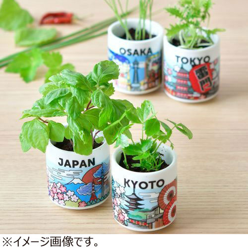 聖新陶芸 お芽でたおちょこJAPAN GD997‐7 福岡/にら｜【ハンズネット