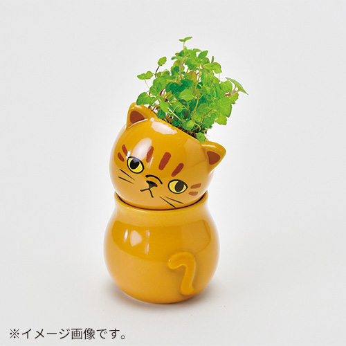 聖新陶芸 コロコロキャット GD1026－3 ワイルドストロベリー｜【ハンズ