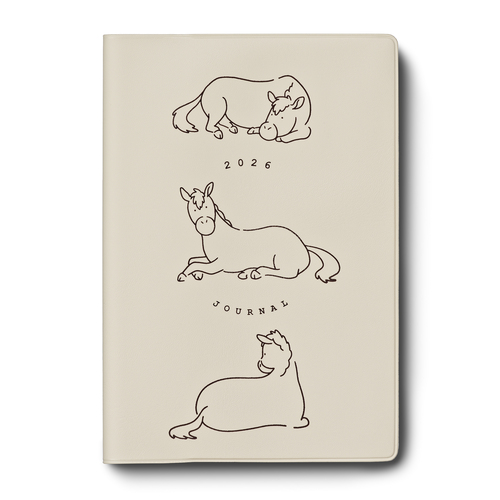 2026年1月始まり】 マトカ（MATOKA） ラウンド B6 マンスリーブロック