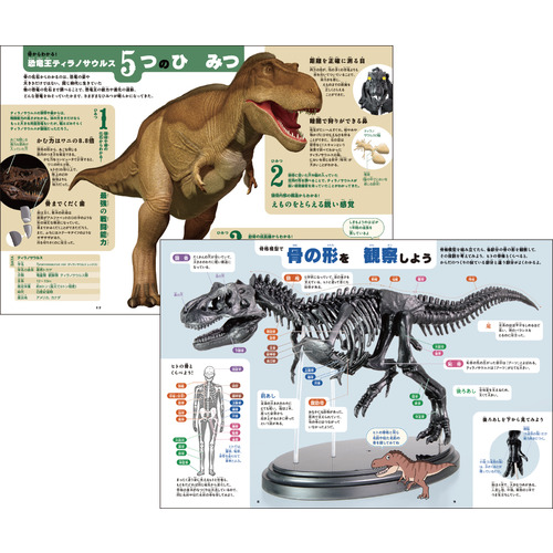 学研（Gakken） 科学と学習PRESENTS ティラノサウルス1／35骨格模型