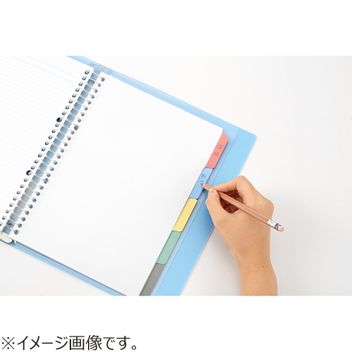 マルマン（maruman） セッションバインダー えんぴつで書けるダブル