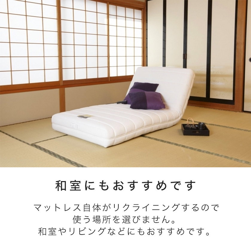 フランスベッド リクライニングベッド 電動マットレス シングル RP