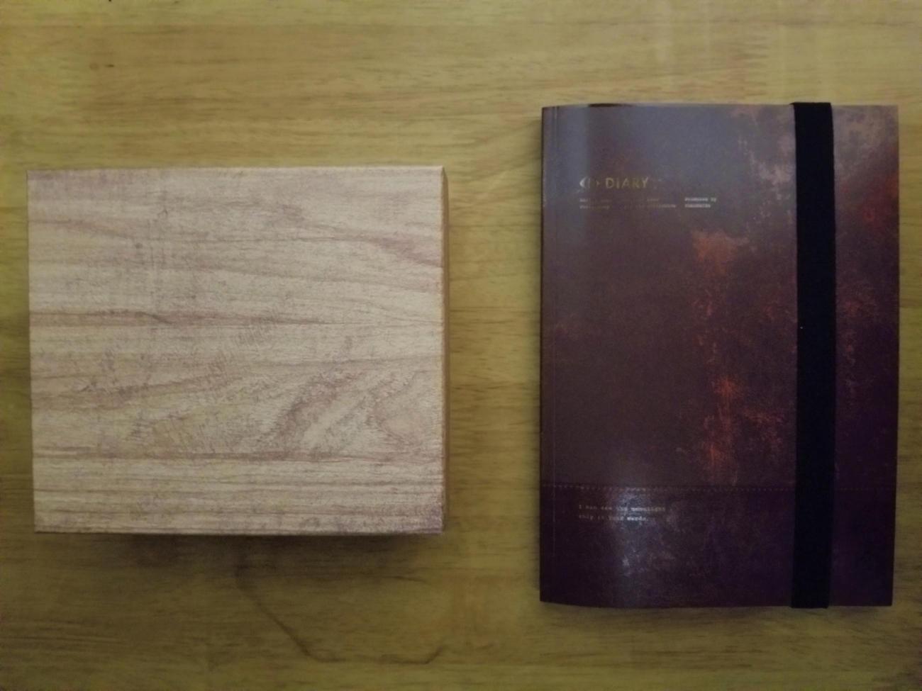 ヨルシカ考察。「だから僕は音楽を辞めた」「エルマ」の時系列