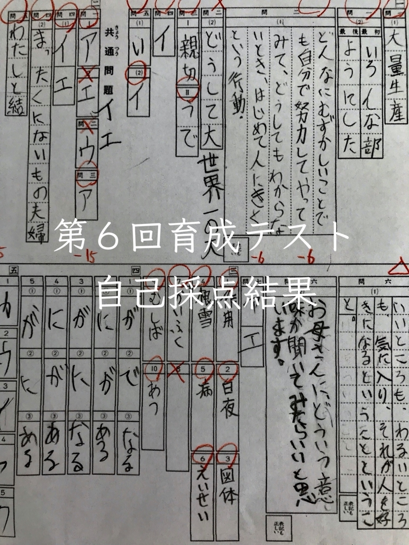 日能研 第6回育成テスト 自己採点結果 - 私とアルの365日