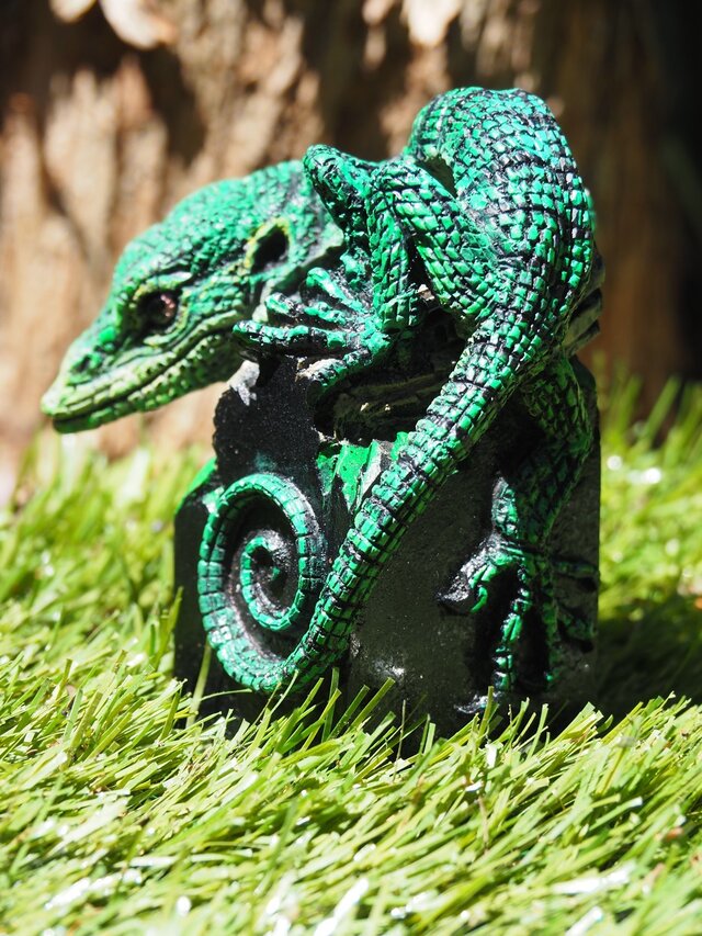 エメラルドツリーモニター【Varanus prasinus】 | iichi 日々の暮らし