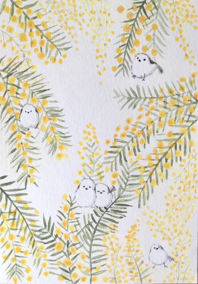 シマエナガ 原画 イラスト 水彩 ミモザ 玄関に飾ったりお友達に