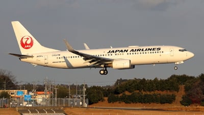 JA317J - Boeing 737-846 - Japan Airlines - Flightradar24