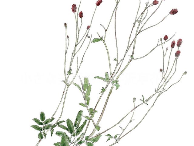 小さな美術館 軽井沢草花館】予約・アクセス・割引クーポン - じゃらんnet