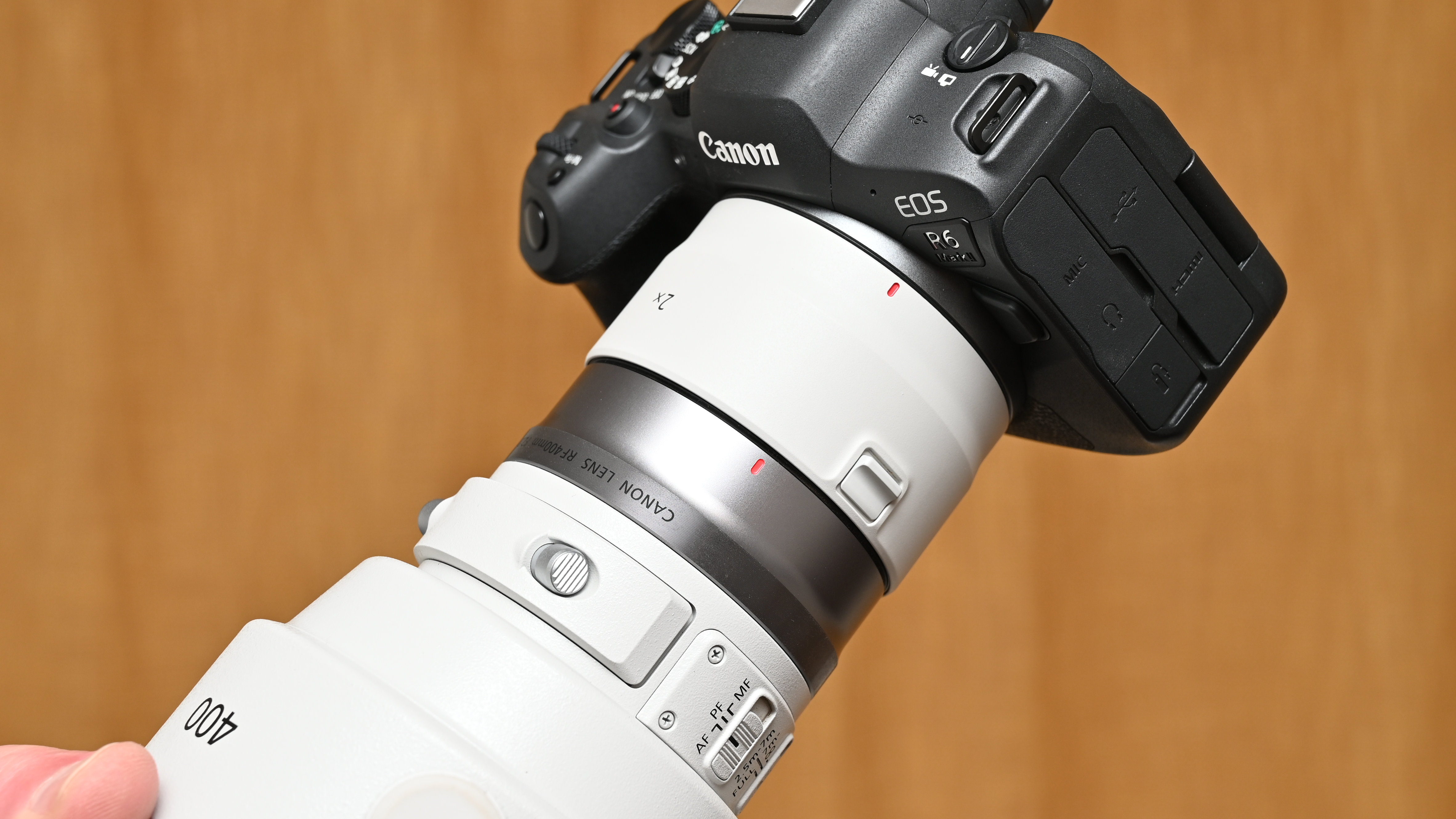 Canon Extender RF 2x review: double your telephoto reach and close