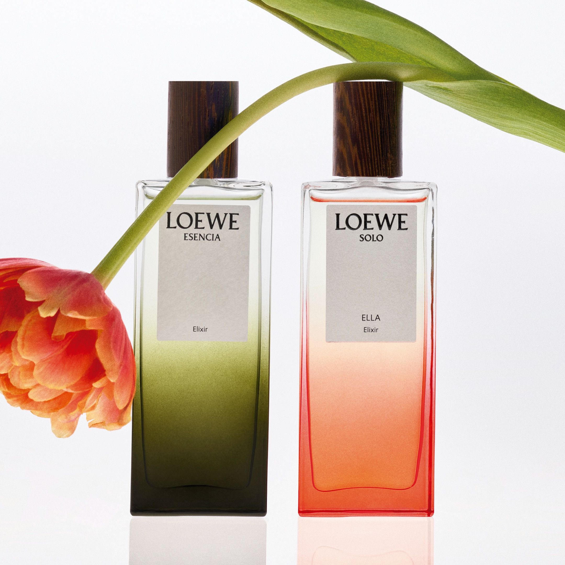 香水(ユニセックス) LOEWE SOLO ELLA Elixir Loewe LOEWE Solo Ella