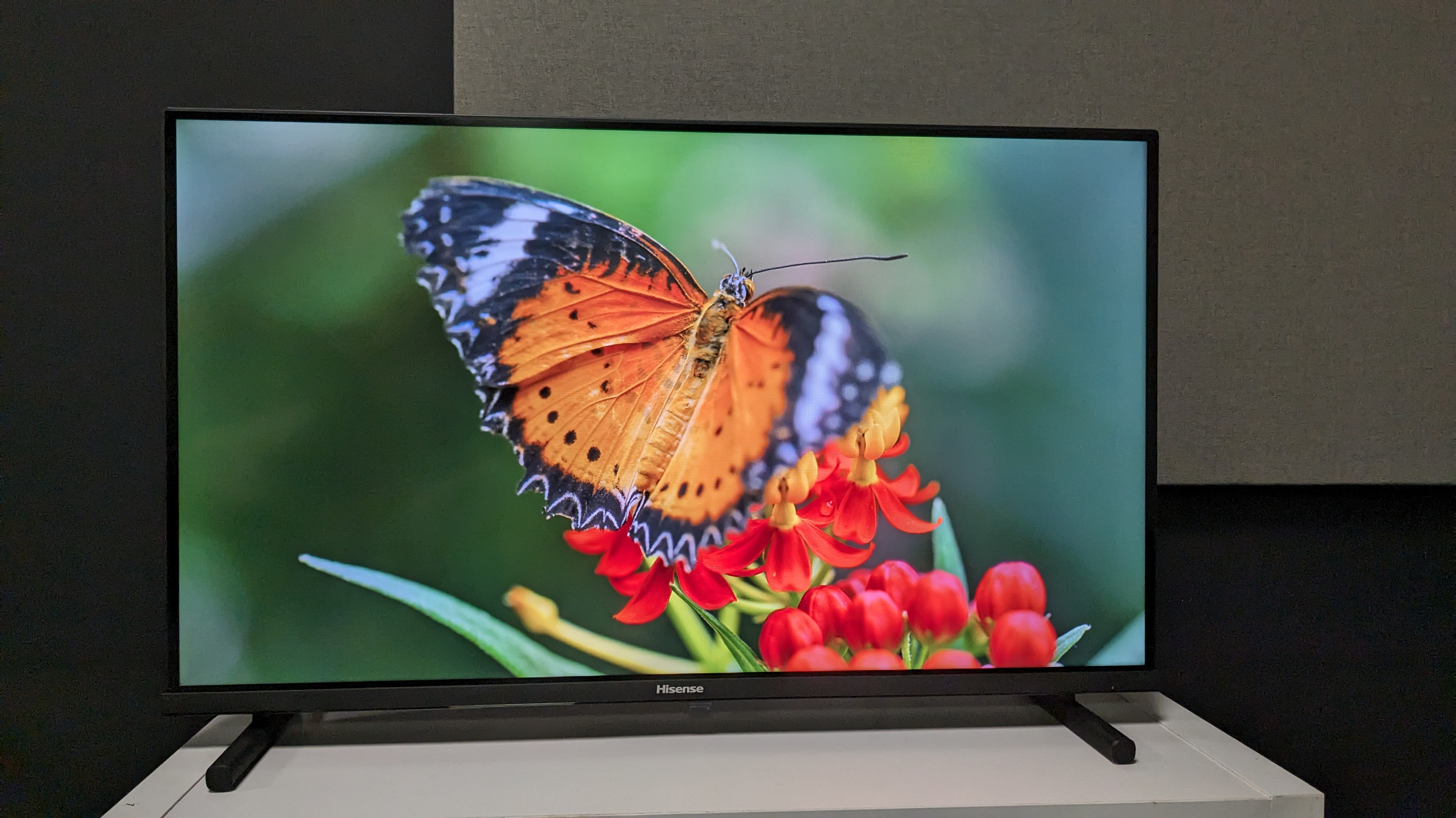 Hisense 32A5K review: vibrant QLED pictures, but dull sound