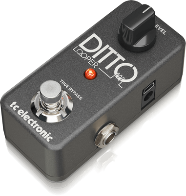 TC Electronic | Product | DITTO LOOPER