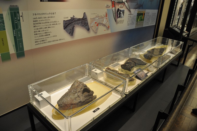 科博クラファン6億超 「本来は国の責任?」関係者の受け止めは | 毎日新聞