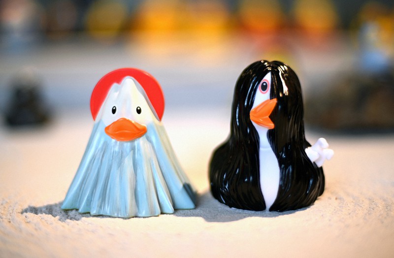 富士山、妖怪バージョンまで…「ラバーダック」専門店がオープン | 毎日新聞