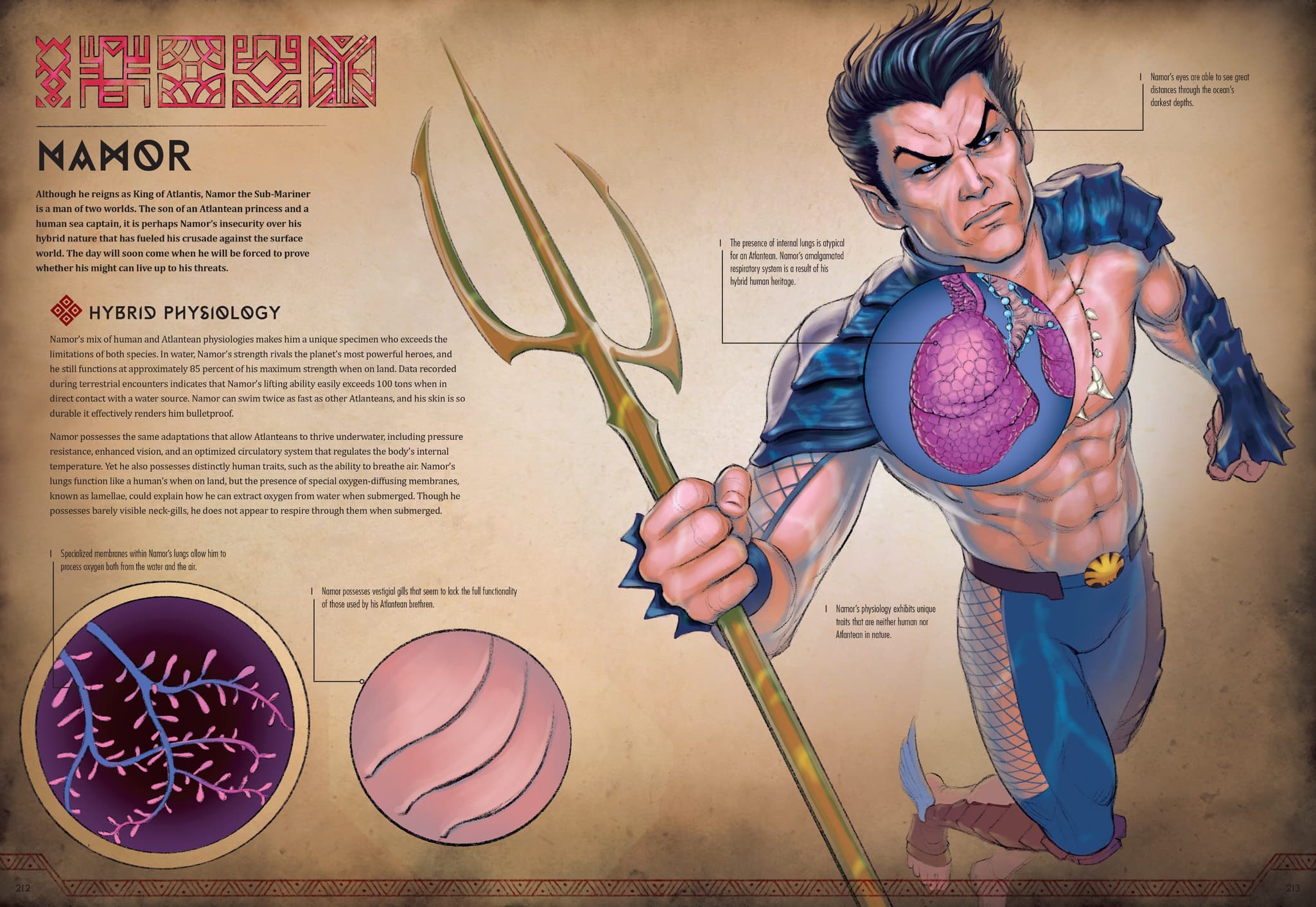 Marvel Anatomy: A Scientific Study of the Superhuman' Creators