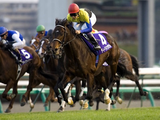 ディープインパクト追悼 全14レースの戦いを振り返る | 競馬まとめ