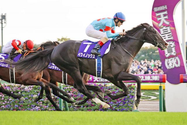 芦毛まとめ】忘れられない芦毛の名馬たち | 最新競馬まとめ - netkeiba.com