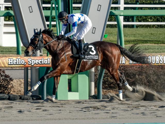 ルヴァンスレーヴのニュース・最新情報 | 競馬まとめ - netkeiba.com