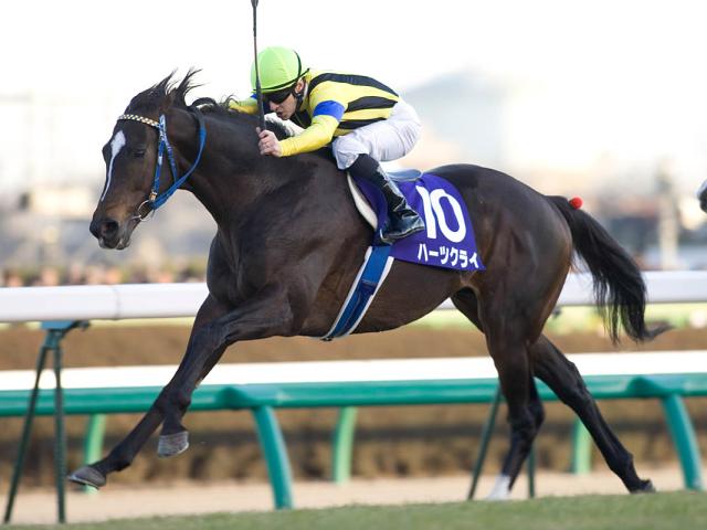 ハーツクライ産駒がJRA通算1600勝達成！ JRA史上6頭目 | 競馬ニュース