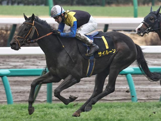 伝説の始まり ディープインパクトの若駒SノーステッキVから20年 | 競馬