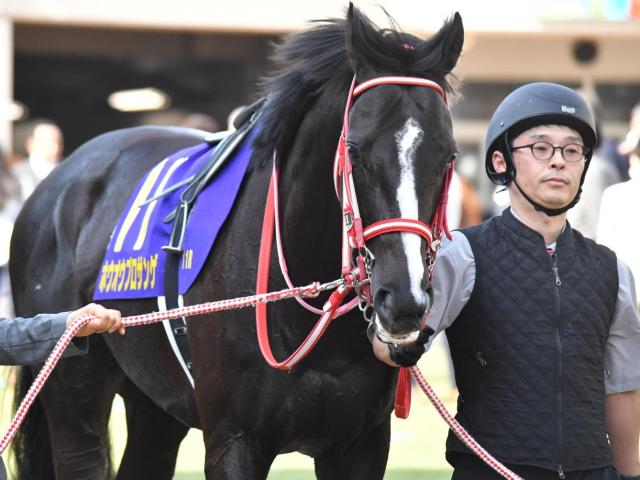 セレクトセール】3冠牝馬デアリングタクトの全妹は8000万円で落札 姉と