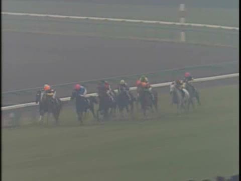 朝日杯3歳ステークス レース結果 | 1994年12月11日 中山11R - netkeiba