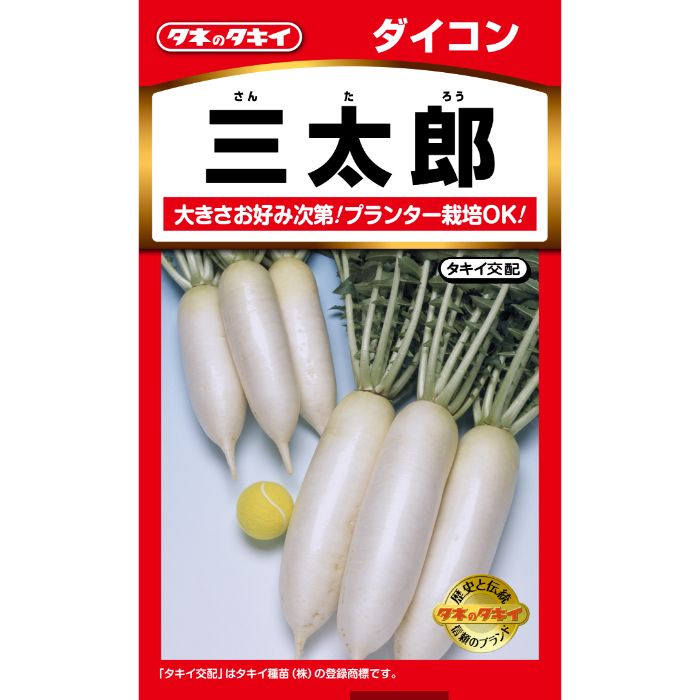 タキイ種苗 ダイコン 三太郎の通販｜ダイコン｜野菜の種｜フラワー