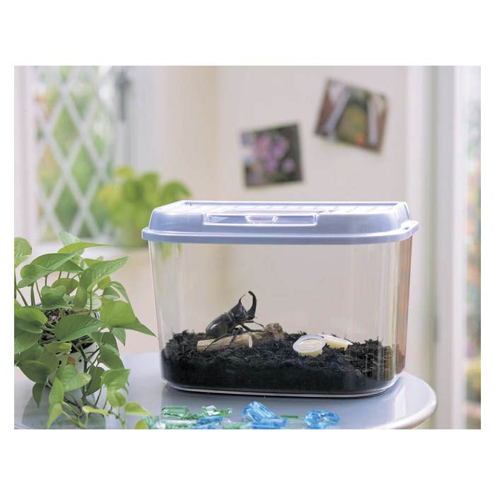 飼育ランドM CY-Mパール青の通販｜昆虫飼育ケース｜昆虫用品