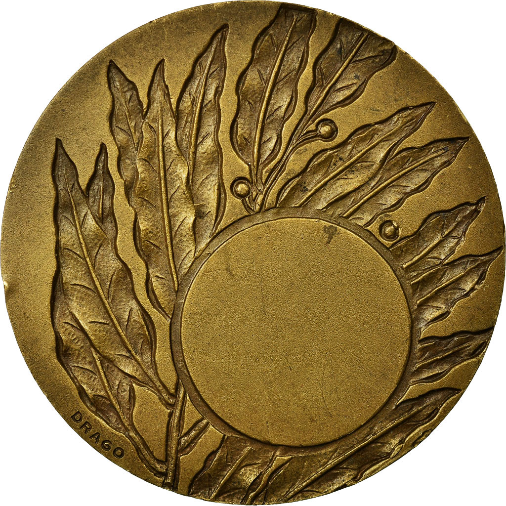 559970] France, Médaille, Prix de Peinture, Drago, SUP, Bronze | eBay
