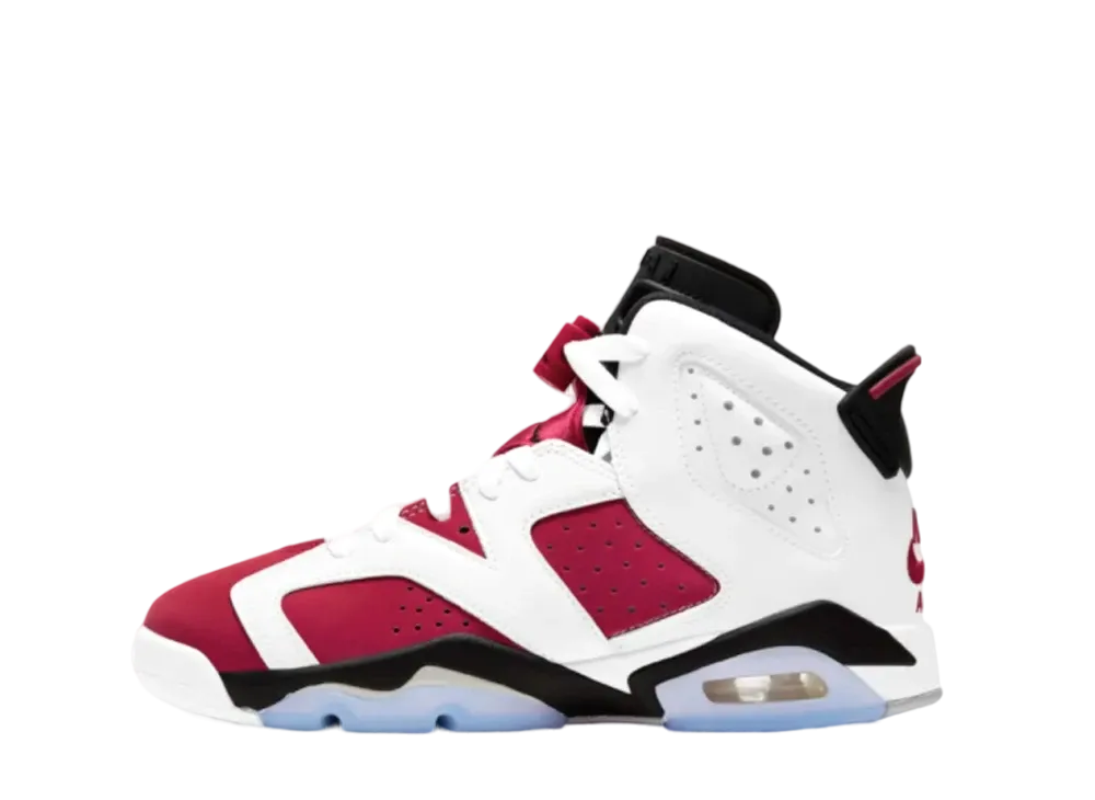 Nike Air Jordan 6 GS 