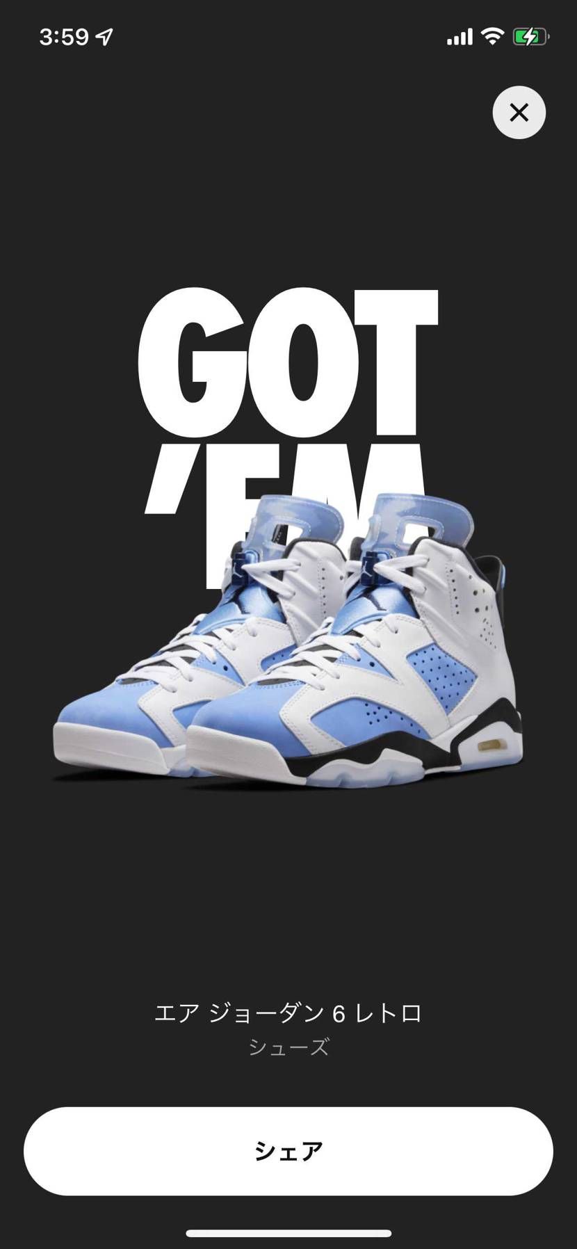 ナイキ GS エアジョーダン6 