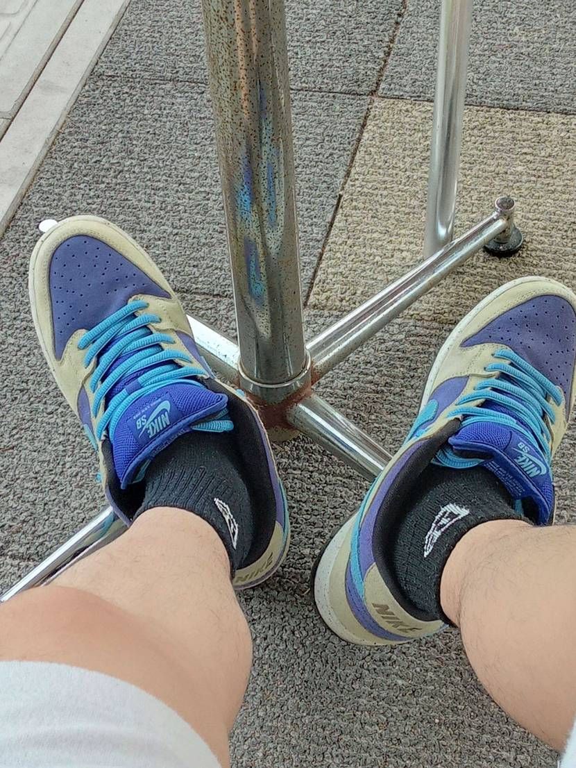 ナイキ SB ダンク ロー 