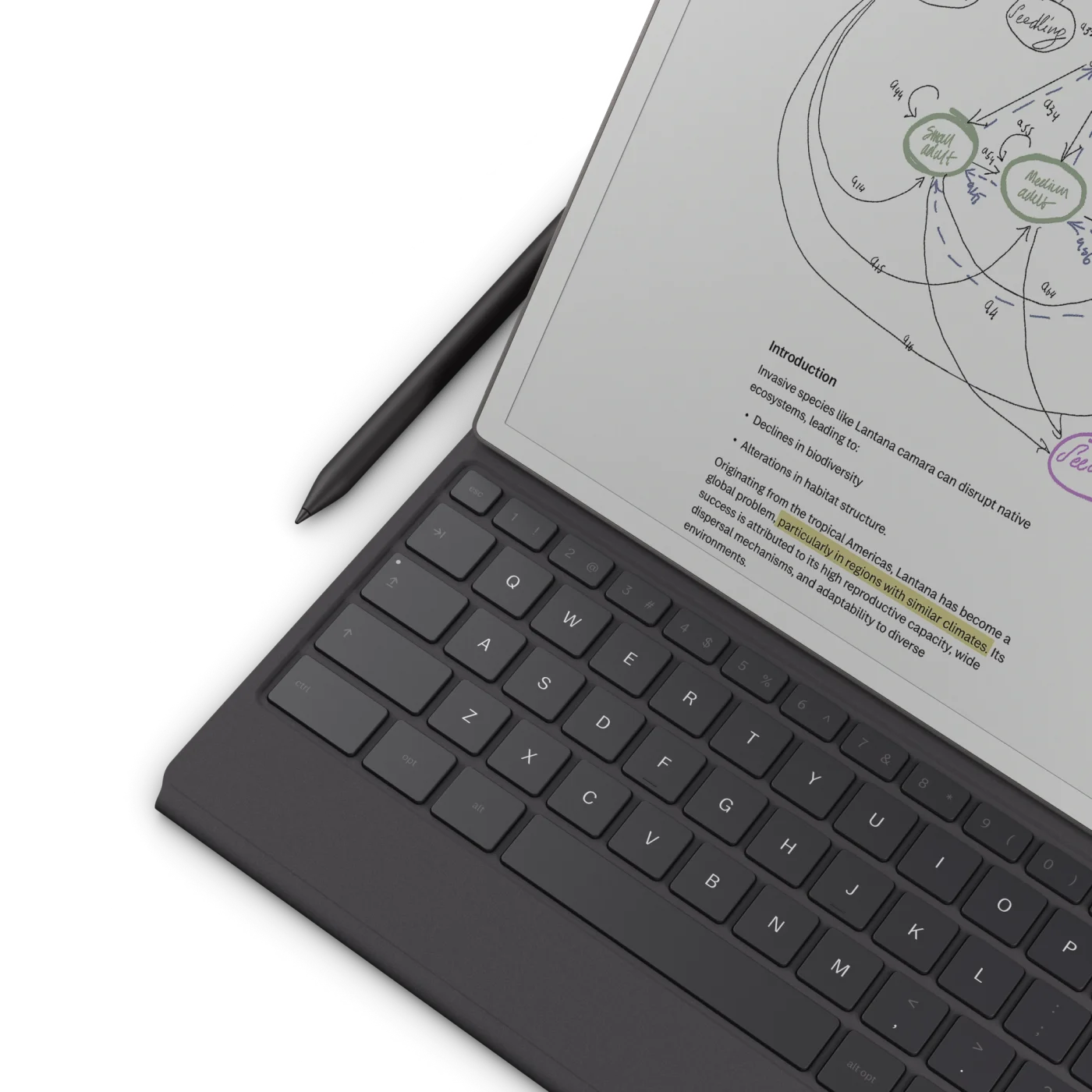 Type Folio for reMarkable Paper Pro | reMarkable