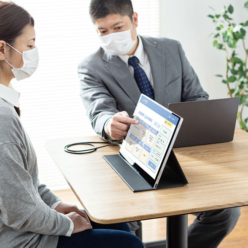 DP-02【モバイルモニター(15.6インチ・フルHD・IPS光沢液晶・USB Type