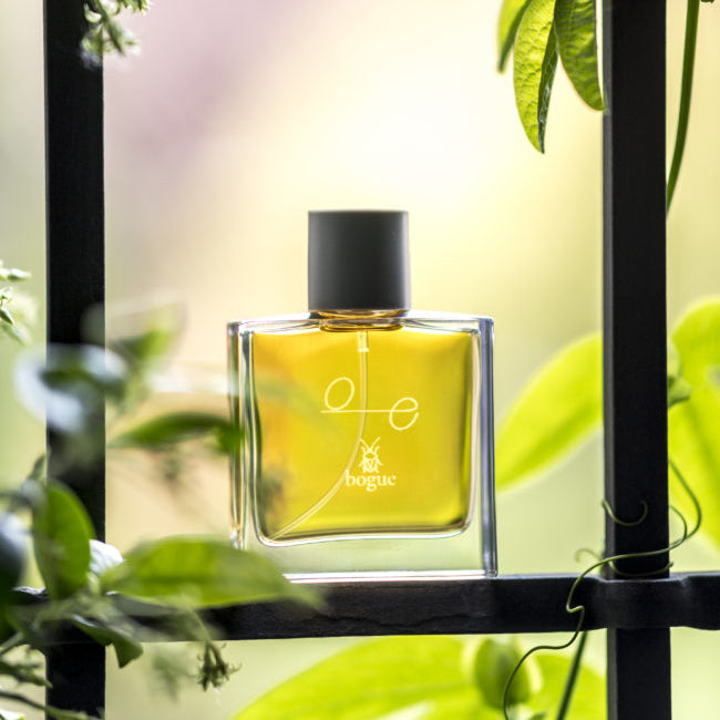 bogue profumo（ボーグ・プロフーモ）日本初上陸、オンライン先行発売