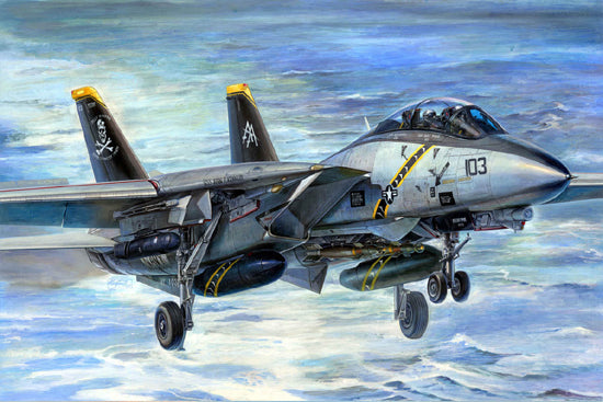 Tamiya F-14A Black Knights 1:32