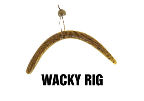 true-center-stick-wacky-Rig-