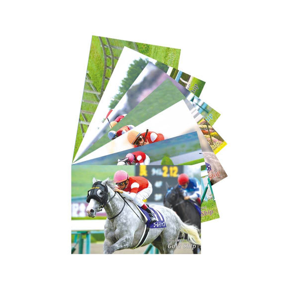 キャンバスボード ゴールドシップ winter - 競馬グッズの通販サイト