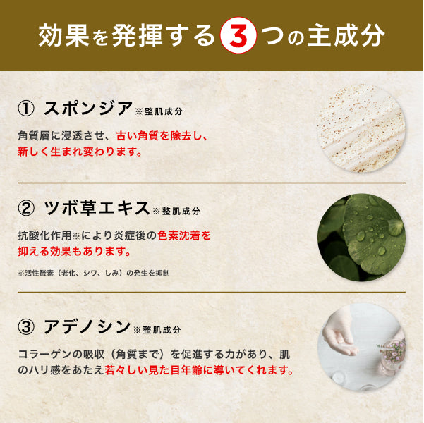 お得な5個セット】プレゼント付き BQCELL(ビーキューセル) ダーマ