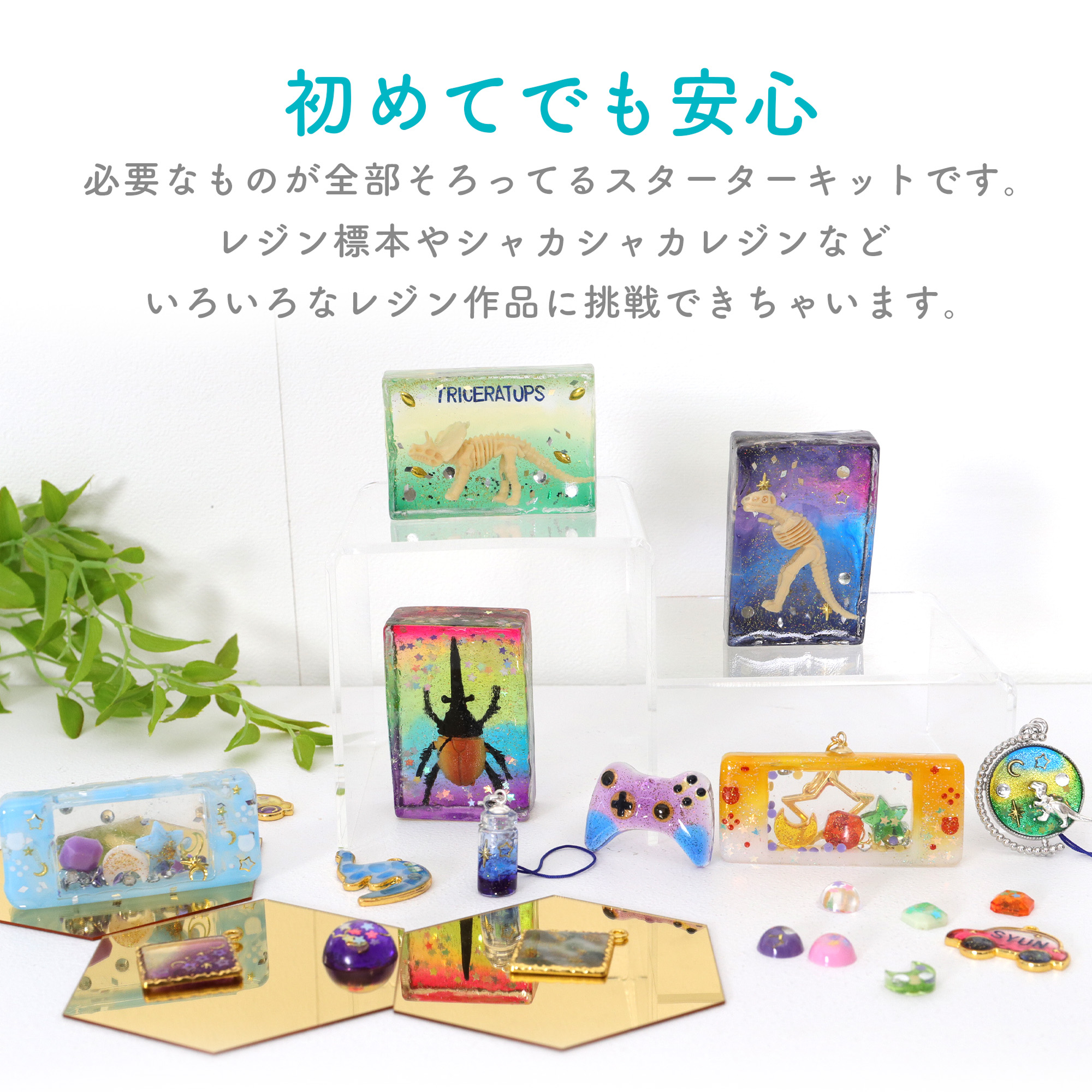 公式】レジンクラフト 標本スターターキット | ケラッタ公式オンライン