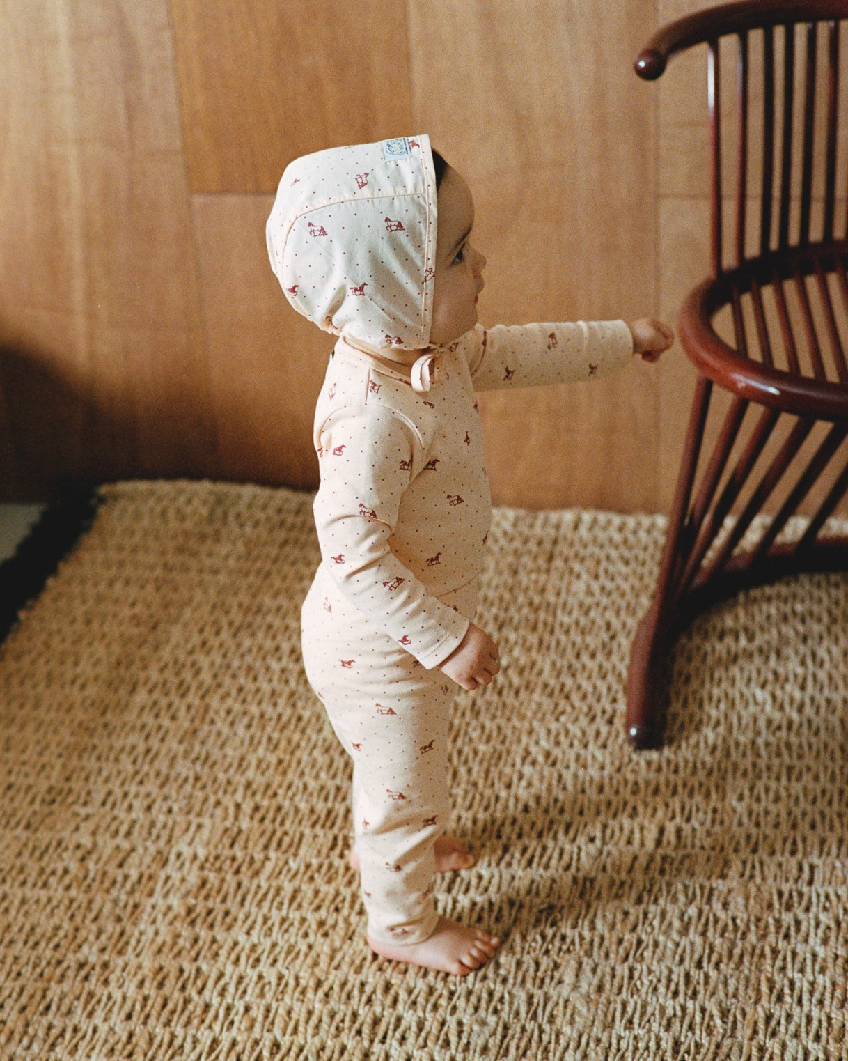 Bonnet (Brown Horse) | House on the Hill