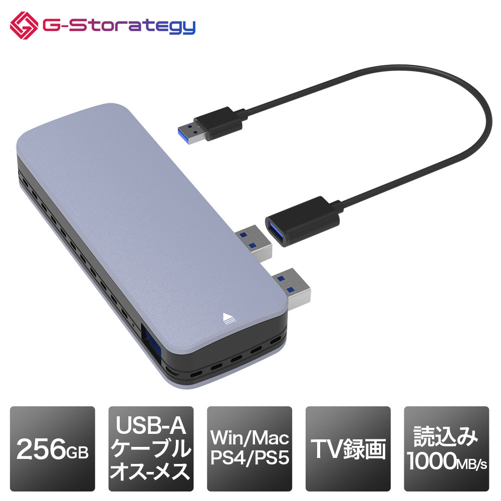 公式】G-Storategy 外付け SSD 256GB USB3.2 – ICHIBAKAN