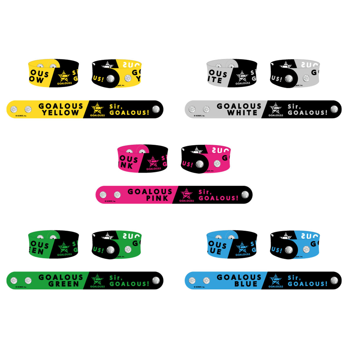 GOALOUS5 構成員集会グッズ 事後通販開始＆記念フェアを開催