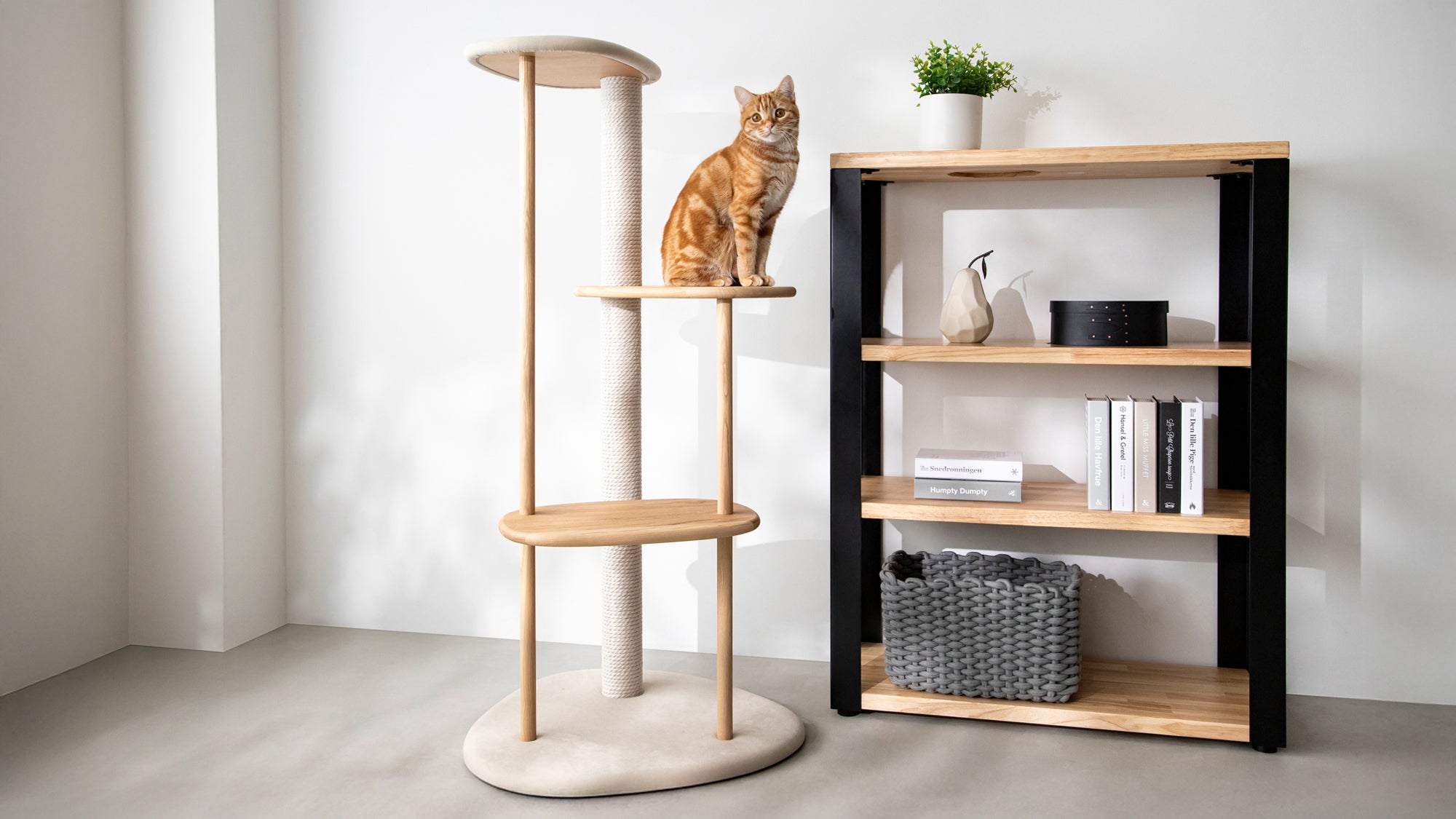 KARIMOKU CAT とともにつくる猫がいることで完成する空間 – KANADEMONO