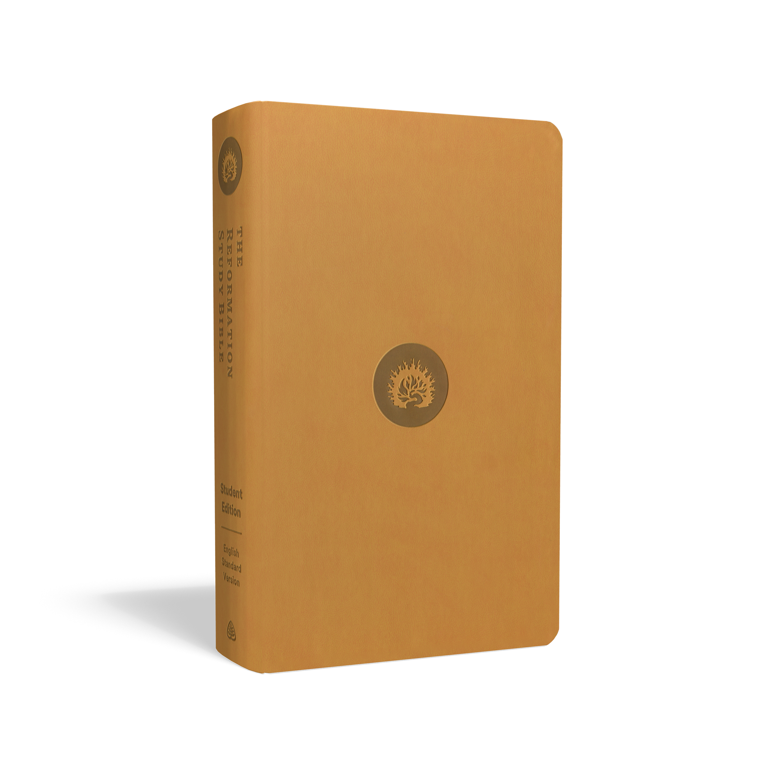 RSE31S_3d_x700_y330.png?v=