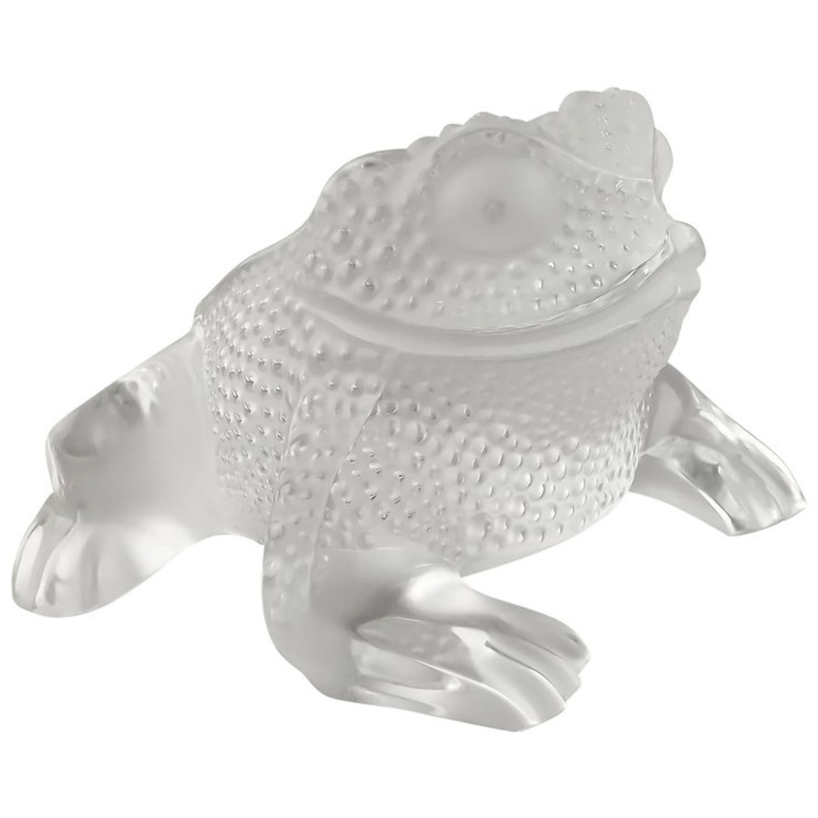 Frog Clear Large - Blue Leaf Houston