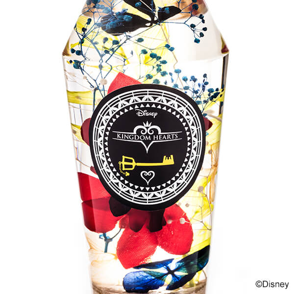 ソラ モデル ハーバリウム キングダム ハーツⅢ キングダム ハーツ