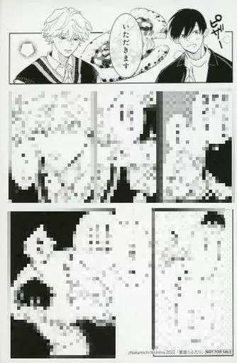 ボーイズラブ コミック雑誌特典 ペーパー小冊子 2 BL 特典セット リーフレット 小冊子 マンガ ボーイズラブ｜Yahoo