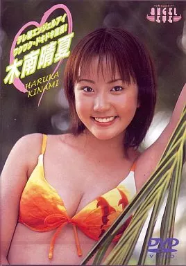 木南晴夏 テレ朝エンジェルアイ DVD 写真集 計3点セット 木南晴夏 テレ朝エンジェルアイ DVD 写真集 計3点セット - メルカリ